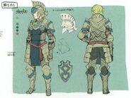 Concept artwork of the Paladin class from Fates.