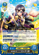 Male Morgan as a Grand Master in Fire Emblem 0 (Cipher).