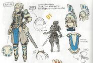 Female Paladin concept art in Awakening