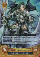 Annand as a Falcon Knight in Fire Emblem 0 (Cipher).