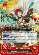 Cain as a Paladin in Fire Emblem 0 (Cipher).