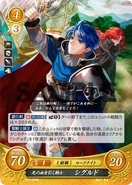 Sigurd as a Knight Lord in Fire Emblem 0 (Cipher).