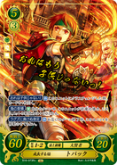 Tormod as an Archsage in Fire Emblem 0 (Cipher).