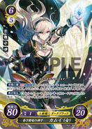 Female Corrin as a Nohr Noble in Fire Emblem 0 (Cipher).
