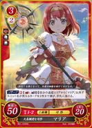 Maria as a Bishop in Fire Emblem 0 (Cipher).