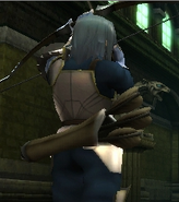 The quiver of the Iron Bow attached to Virion's back in Awakening.