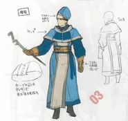 Concept artwork of the Priest class from Awakening.
