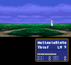 Animation of Marisha using the Thief Staff to pilfer the contents of a Chest in Mystery of the Emblem.