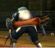 The quiver of Parthia, as it is depicted attached to Virion's back in Awakening.
