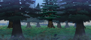 The forests of Embla.