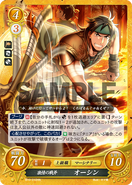 Osian as a Hero in Fire Emblem 0 (Cipher).