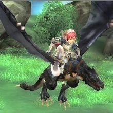 Wyvern Rider Fire Emblem Wiki Fandom I don't know how many times he threw me when i tried to ride him.