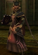 Validar's battle model as a Sorcerer in Awakening.