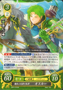 Oscar in Fire Emblem 0 (Cipher) as a Paladin.