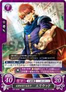 Eliwood as a Lord in Fire Emblem 0 (Cipher).