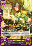 Saleh as a Sage in Fire Emblem 0 (Cipher).