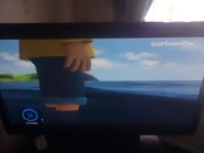 Charlie paddling in the sea