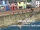 Whale Watch/Gallery