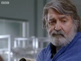 Ifan Huw Dafydd