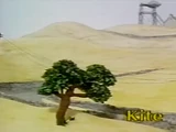 The Kite/Gallery