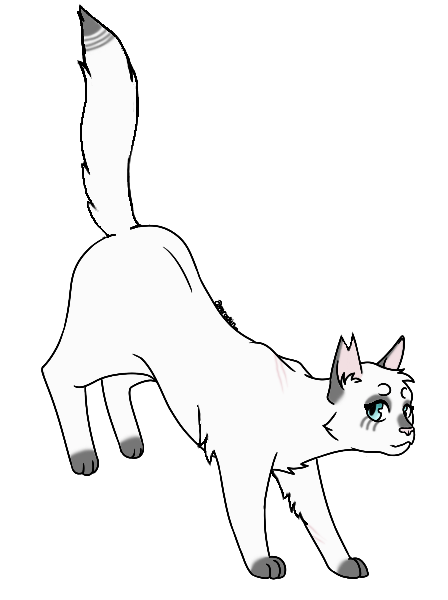 Spectre | StarClan's Refuge Wiki | Fandom