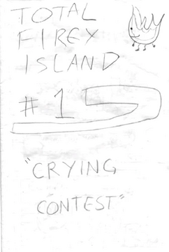 The first episode