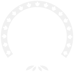 Ukraine | First Strike Wiki | Fandom