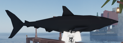 Bull Shark | Fisch Wiki | Fandom