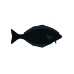 Halibut