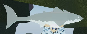 Albino Cladoselache Fisch.png (130 KB) Albino