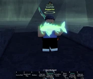 Big, Aurora (new & version 1)