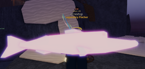 Chinfish | Fisch Wiki | Fandom