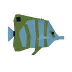 Butterflyfish