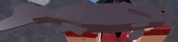 Crown Bass | Fisch Wiki | Fandom