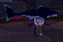 Shiny Cladoselache.png (597 KB) Shiny