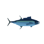 Yellowfin Tuna