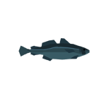 Cod