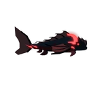 Black Dragon Fish
