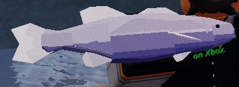 9e914ffa-ef5f-4860-a9ae-c59697f1dbd7~2.png (60 KB) Negative