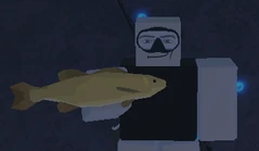 Big Golden Smallmouth Bass.png (76 KB) Big