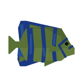 Angelfish | Fisch Wiki | Fandom
