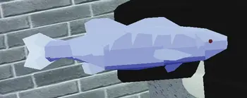 Negative Redyey Bass.webp (23 KB) Negative