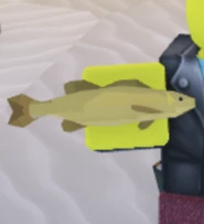 Golden-smallmouth-bass.png (108 KB) Regular