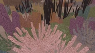 CoralReef2.png (309 KB)