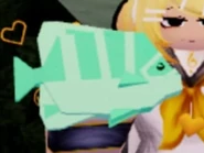 Angelfish | Fisch Wiki | Fandom