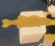 Midas Redeye Bass.png (77 KB) Midas