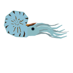 Nautilus