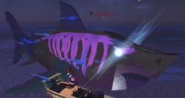 Mosaic Phantom Meg.png (408 KB) Mosaic