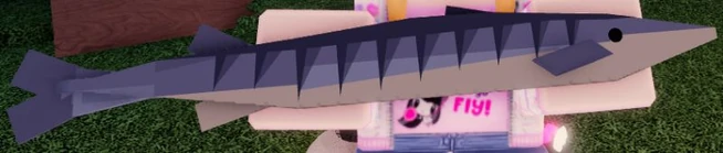 Barracuda Shiny.jpg (25 KB) Shiny