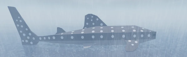 Whale Shark | Fisch Wiki | Fandom